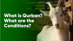 adak kurbani nedir sartlari nelerdir 4